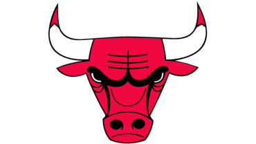 Chicago bulls emblem