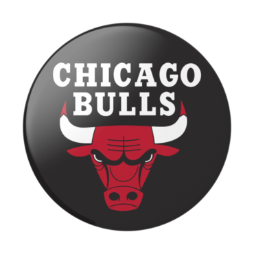 Chicago bulls logotype
